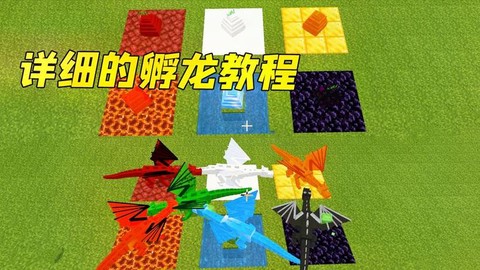 我的世界要怎么生龙蛋[图2]