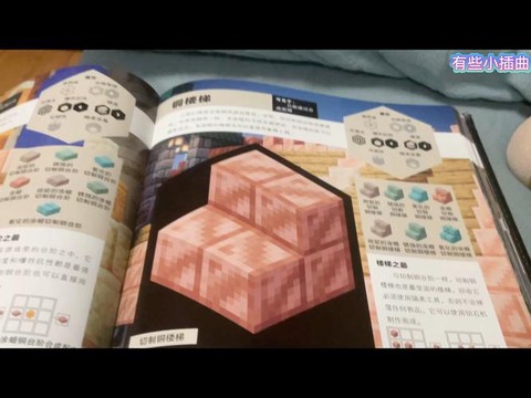 我的世界区块怎么看[图2]