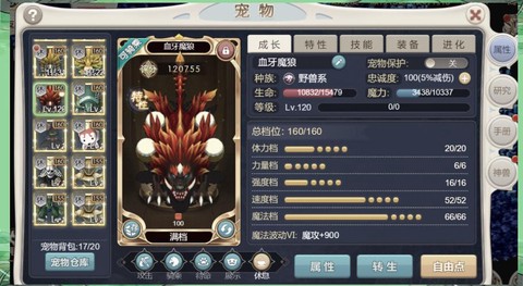 魔力宝贝配什么坐骑[图1]