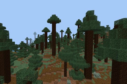 我的世界雨林怎么找[图2]