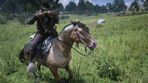 荒野大镖客2怎么蹲下[图2]