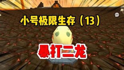 迷你世界龙蛋有什么用